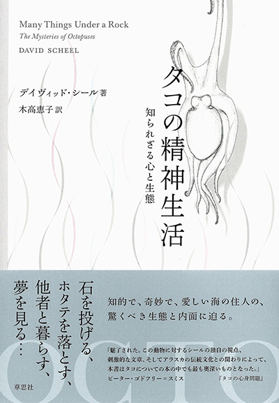 タコの精神生活
知られざる心と生態