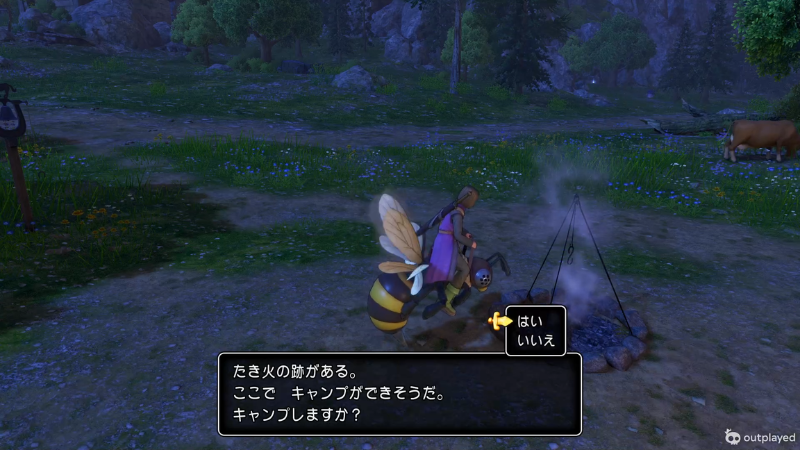 大丈夫かな たき火の跡がある。
ここでキャンプができそうだ。
キャンプしますか?