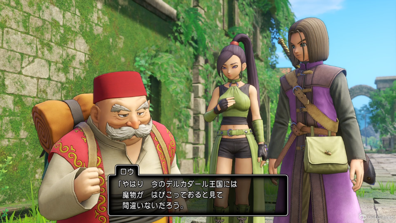 ロウ「やはり、今のデルカダール王国には魔物がはびこっておると見て、間違いないだろう」