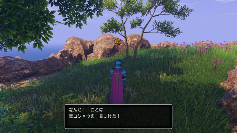 なんと！
にとは黒コショウを見つけた！